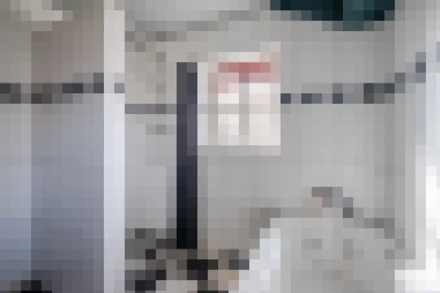 Voort 2 Reusel thumbnail 18