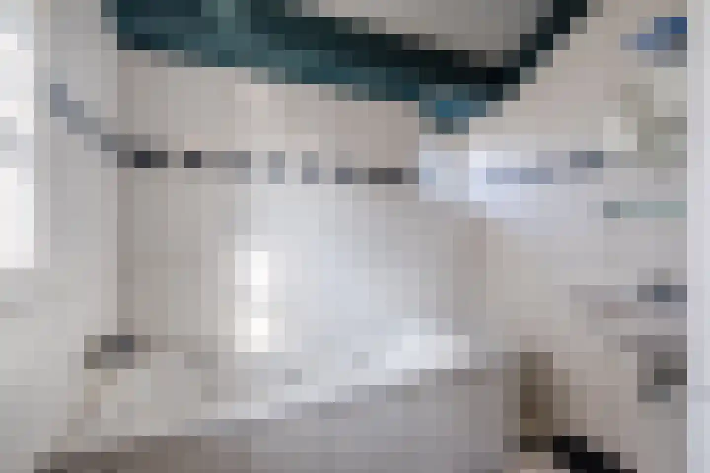 Voort 2 Reusel thumbnail 19