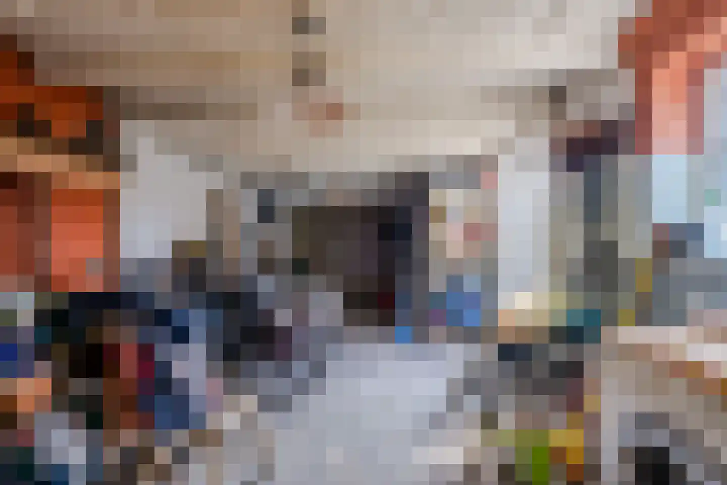 Voort 2 Reusel thumbnail 20