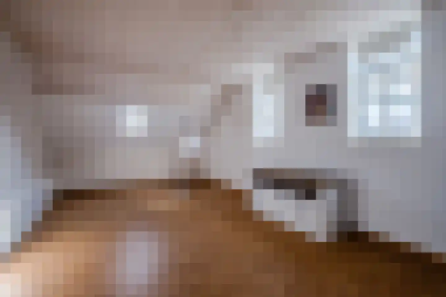 Voort 2 Reusel thumbnail 23