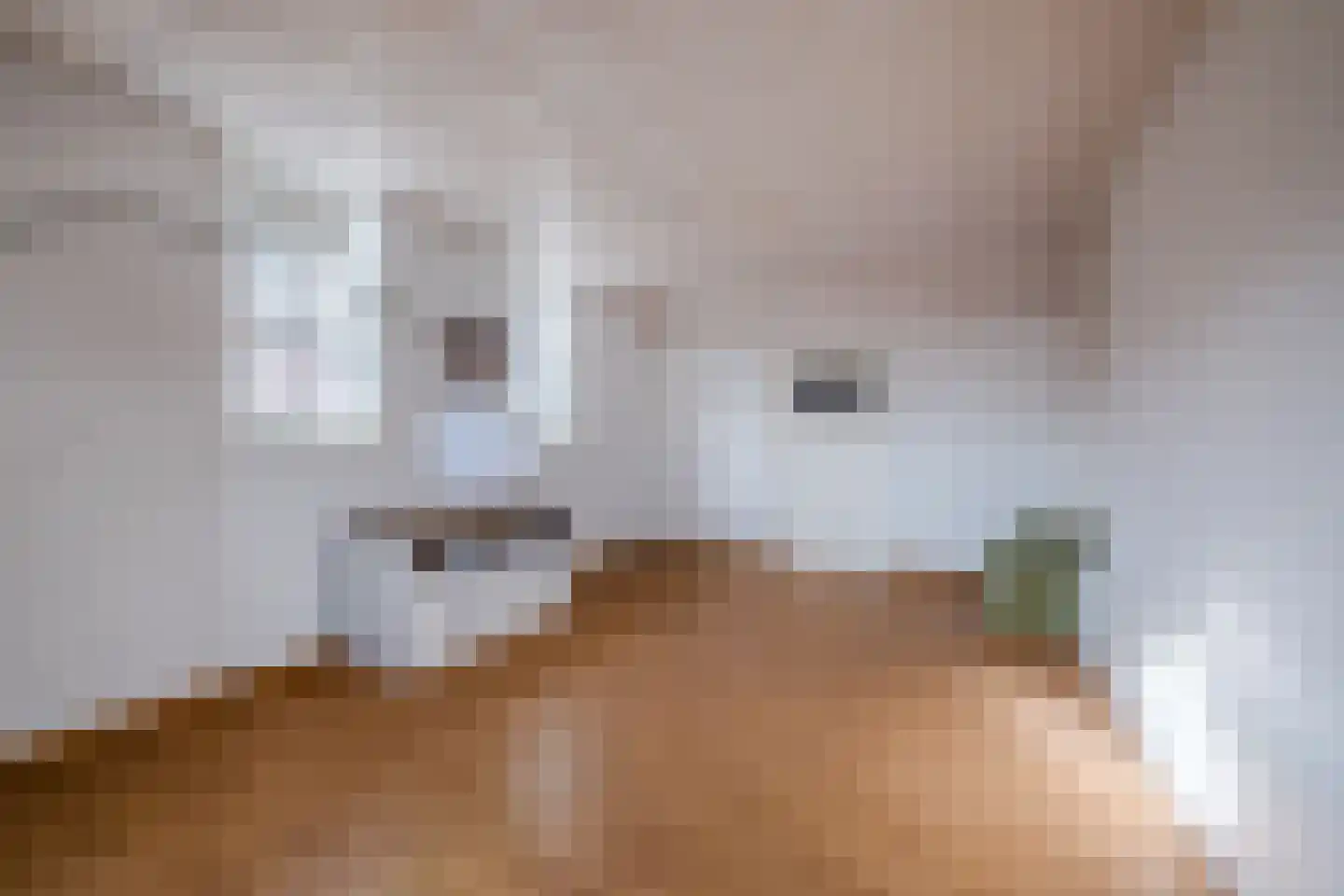 Voort 2 Reusel thumbnail 24