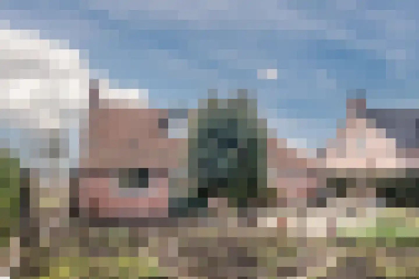 Voort 2 Reusel thumbnail 34