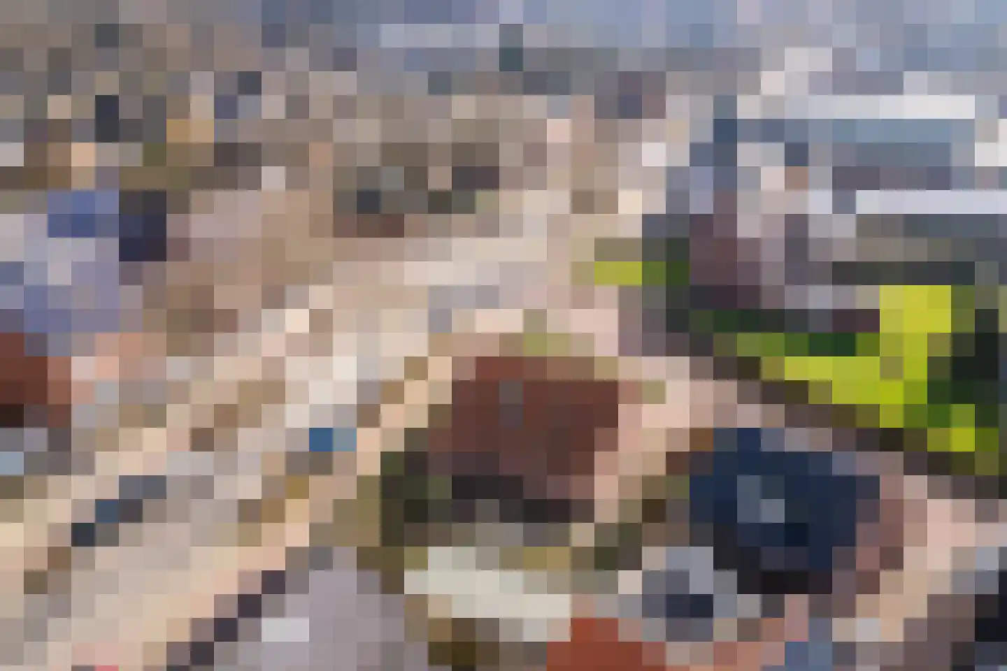 Voort 2 Reusel thumbnail 37