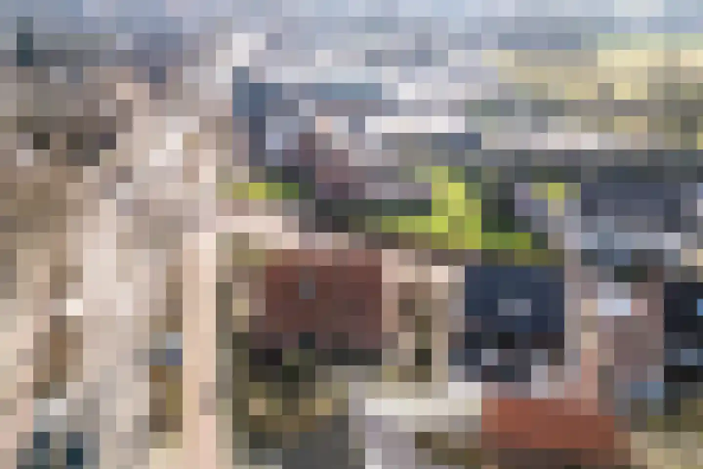 Voort 2 Reusel thumbnail 38