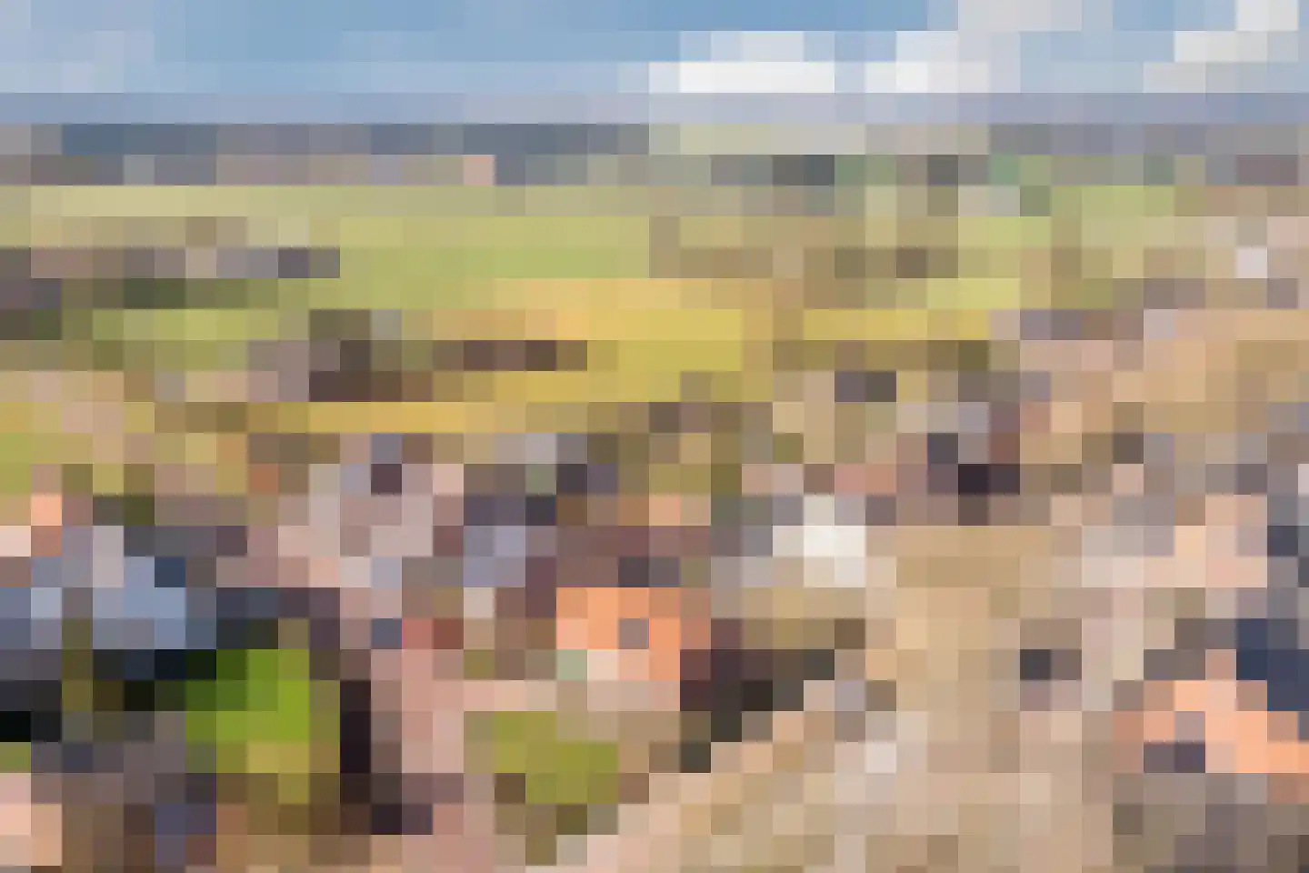 Voort 2 Reusel thumbnail 41