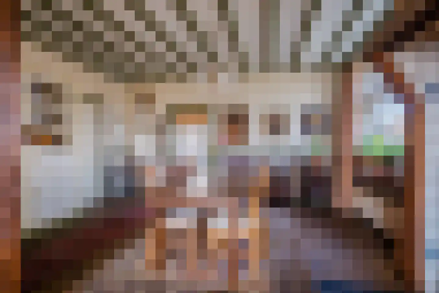 Voort 2 Reusel thumbnail 9