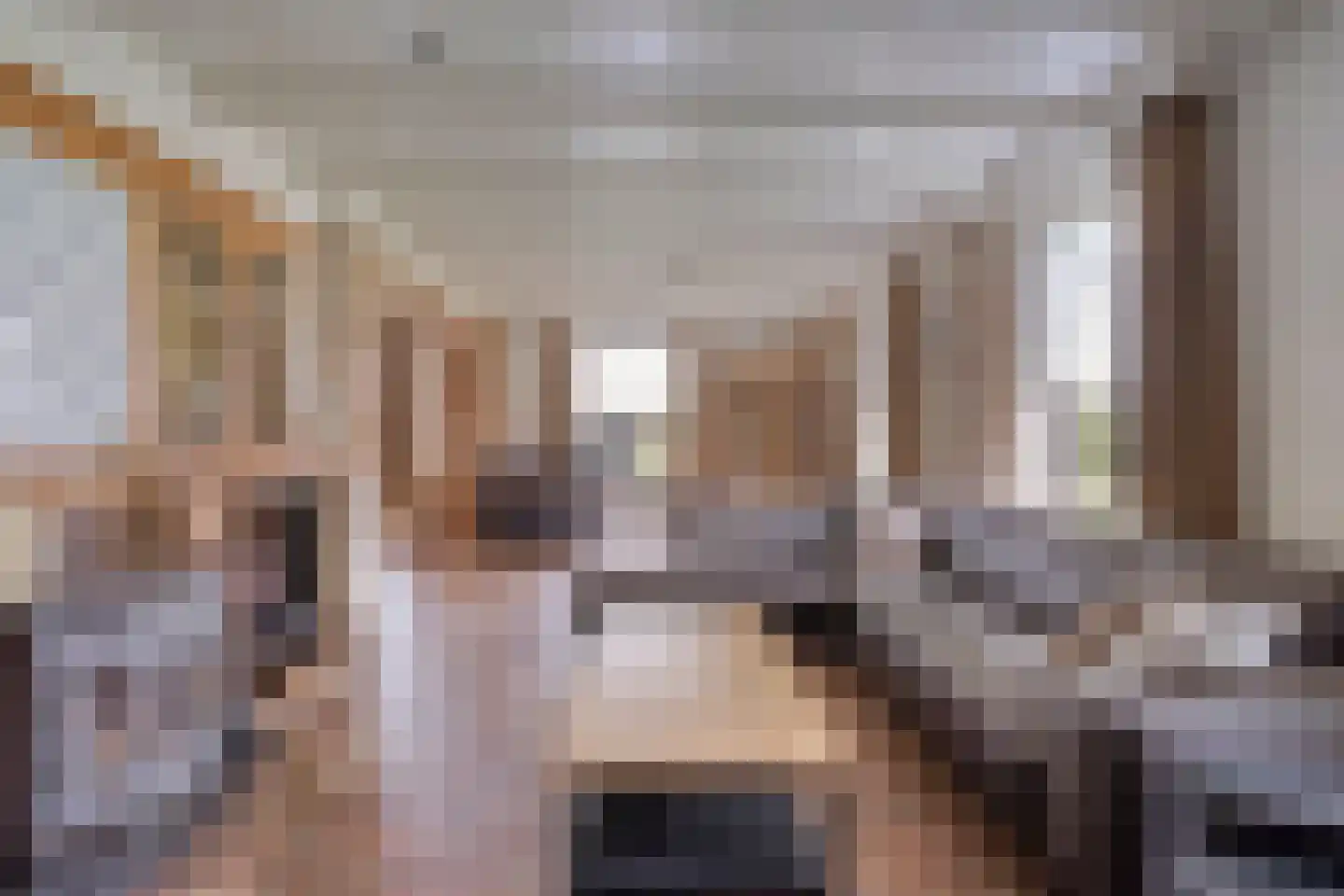 Voort 34 Reusel thumbnail 10
