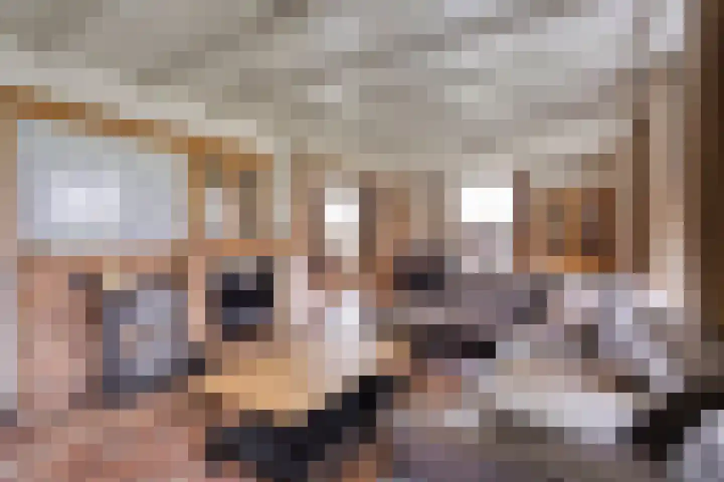 Voort 34 Reusel thumbnail 11
