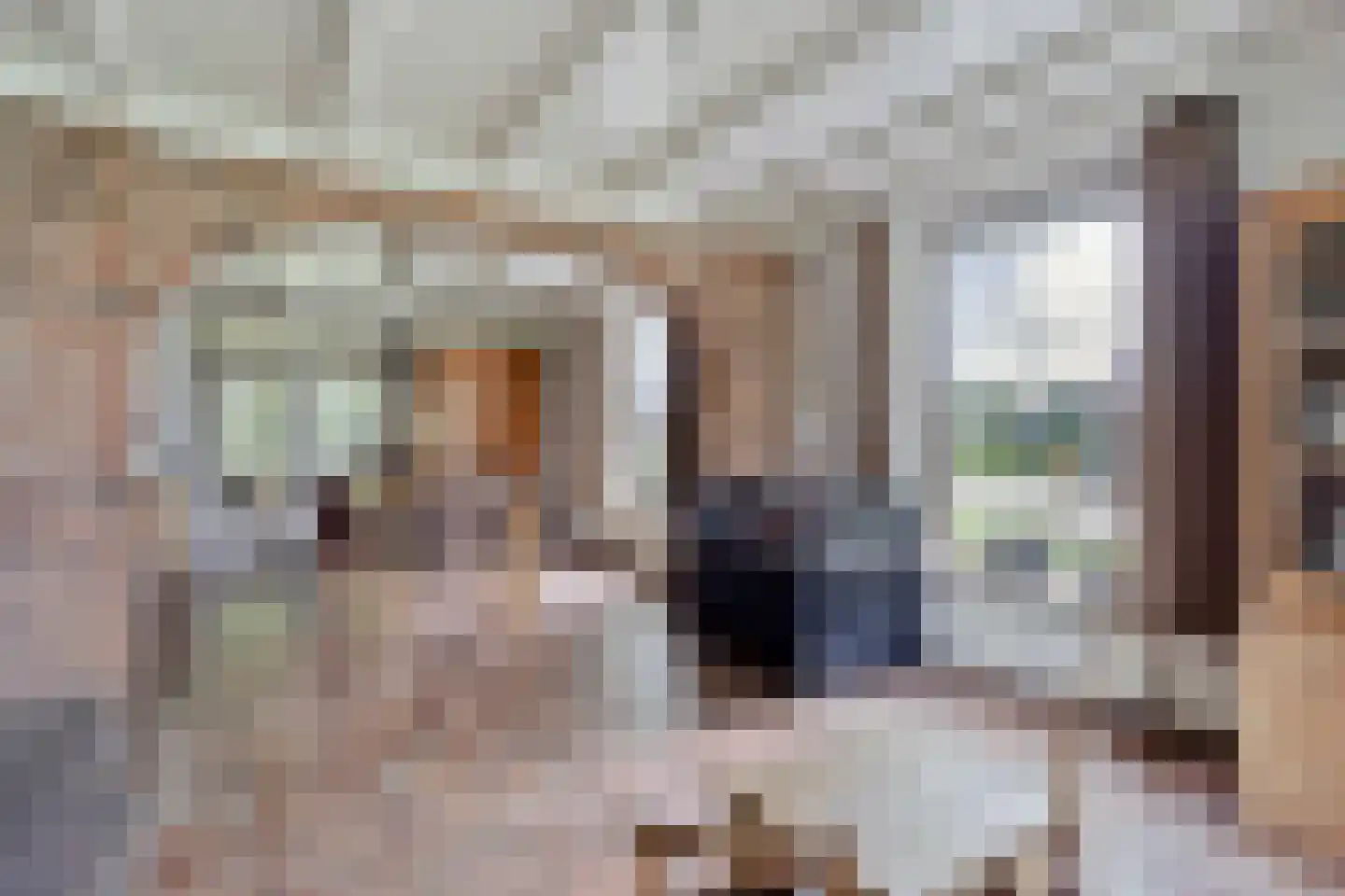 Voort 34 Reusel thumbnail 14