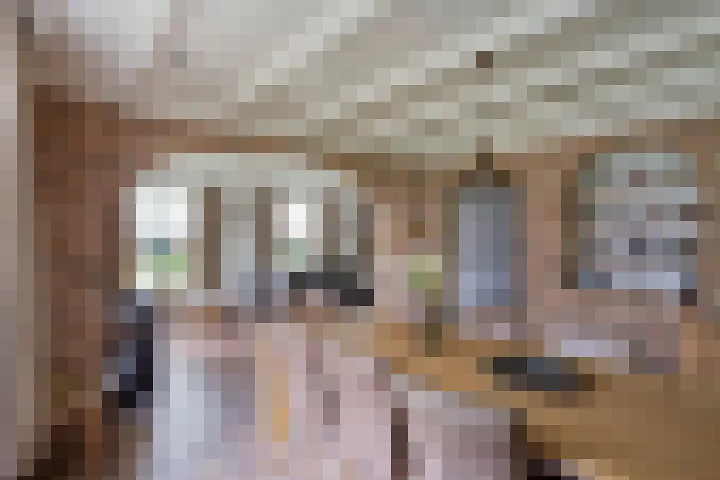 Voort 34 Reusel thumbnail 16