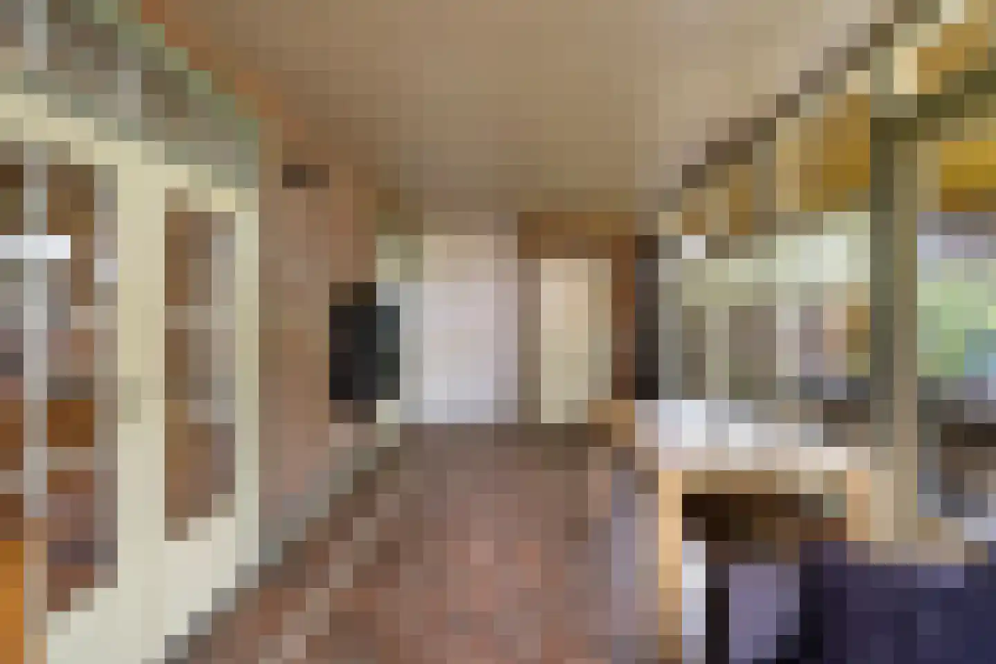 Voort 34 Reusel thumbnail 24