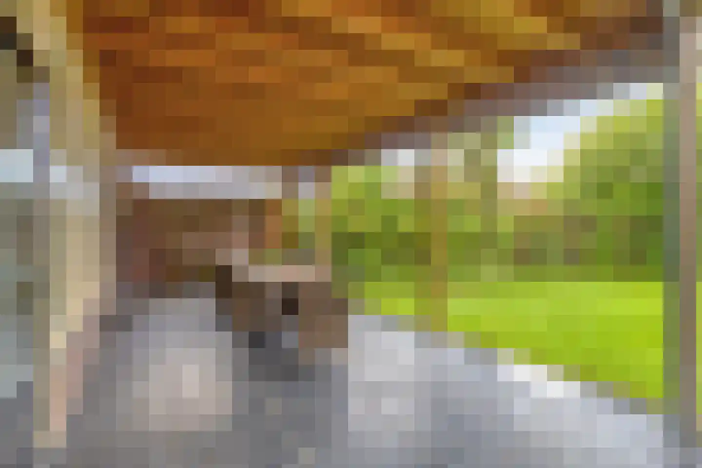 Voort 34 Reusel thumbnail 26