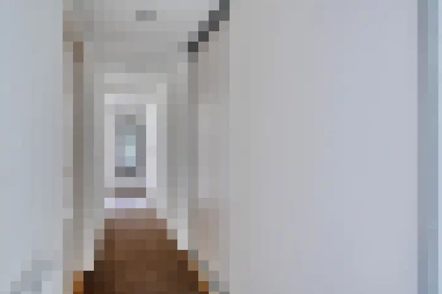 Voort 34 Reusel thumbnail 28