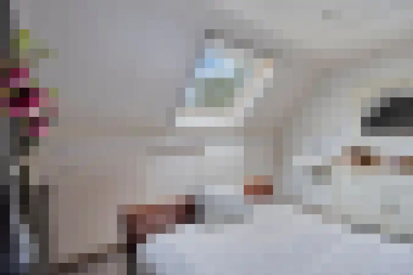 Voort 34 Reusel thumbnail 30