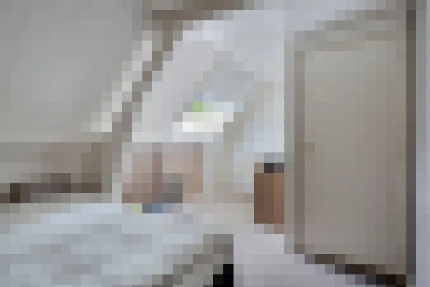Voort 34 Reusel thumbnail 36