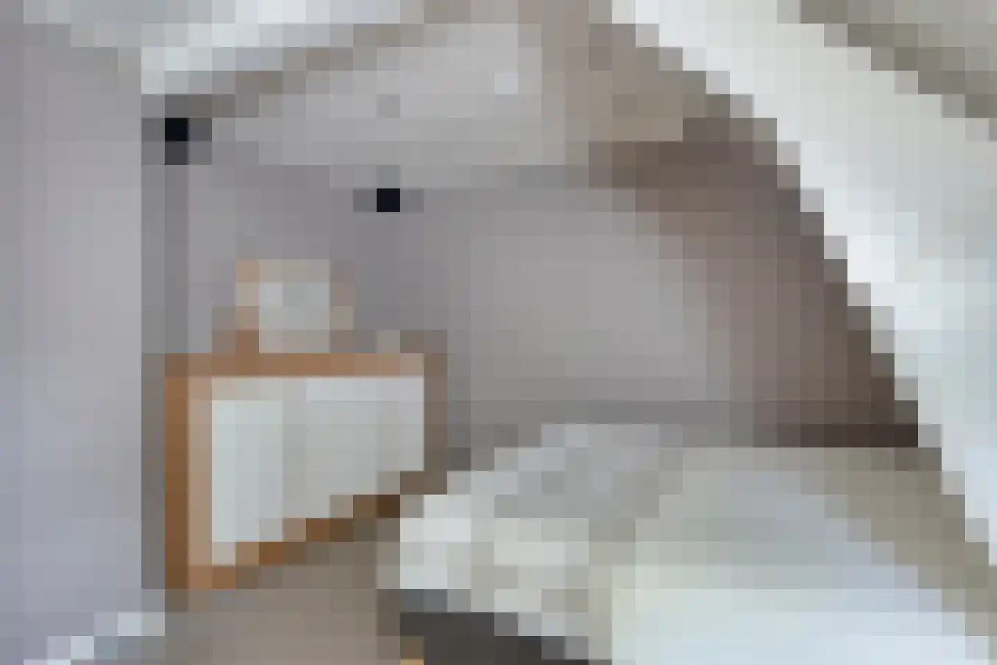 Voort 34 Reusel thumbnail 37