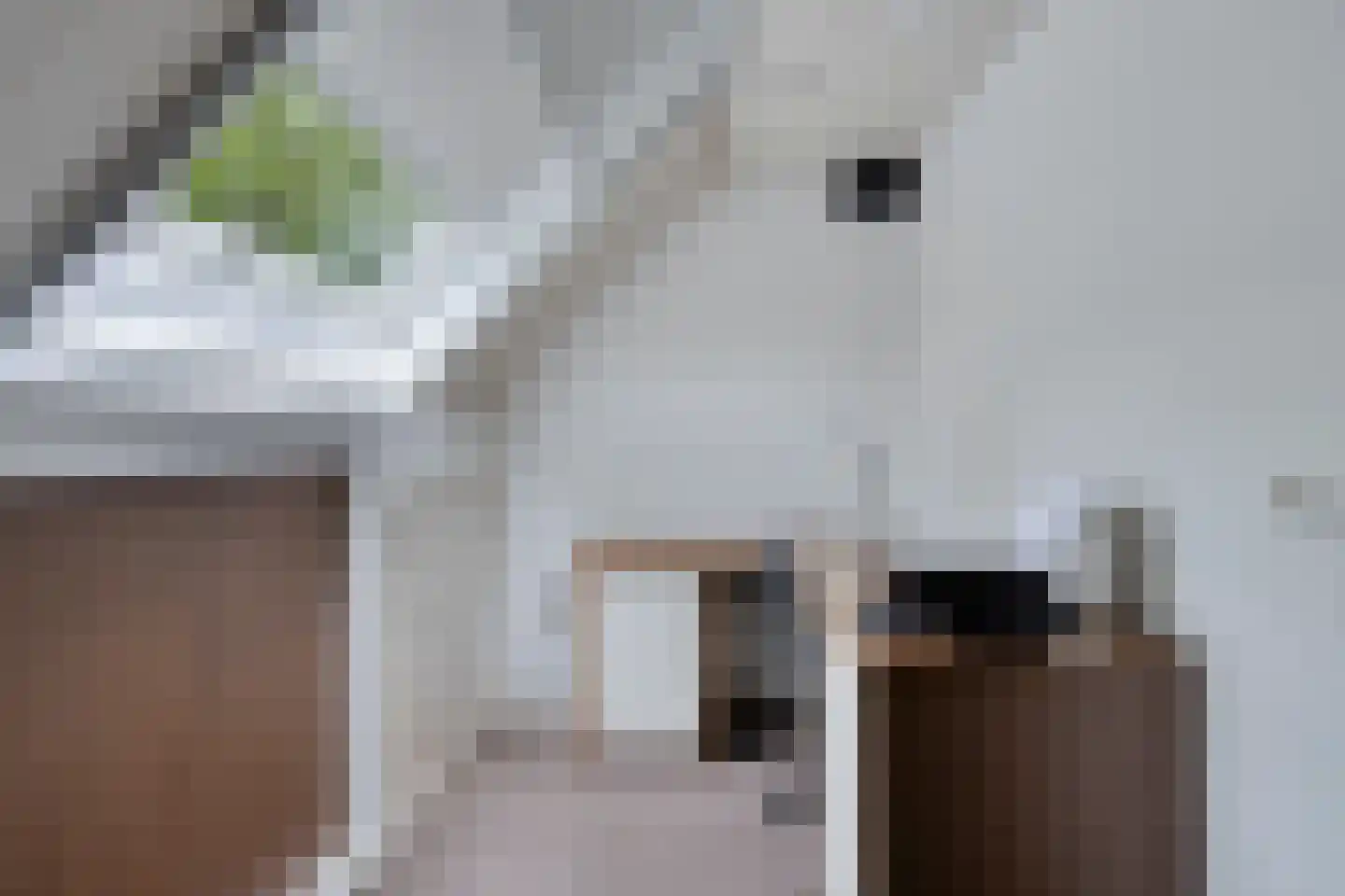 Voort 34 Reusel thumbnail 38