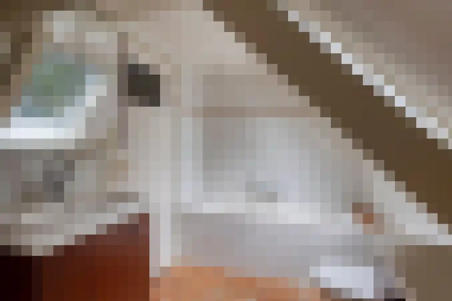 Voort 34 Reusel thumbnail 39