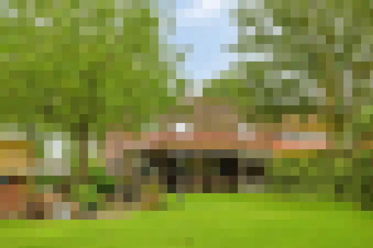 Voort 34 Reusel thumbnail 4
