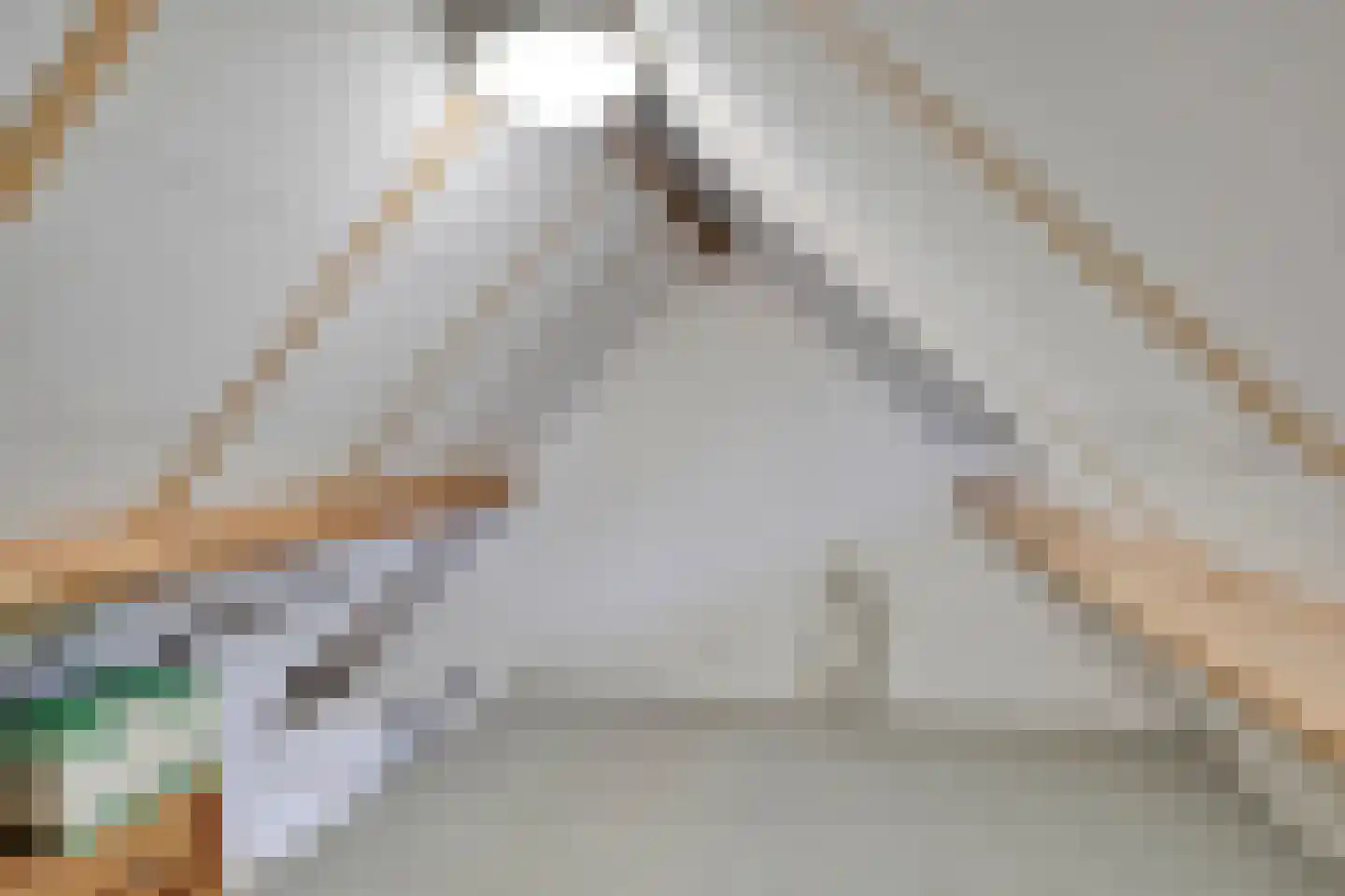 Voort 34 Reusel thumbnail 42