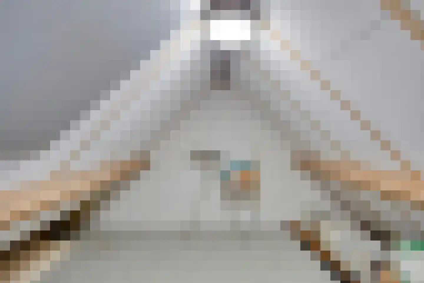 Voort 34 Reusel thumbnail 43