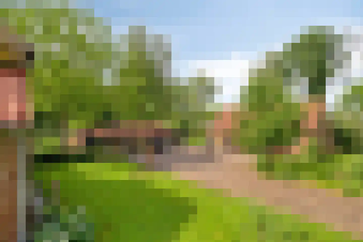 Voort 34 Reusel thumbnail 48