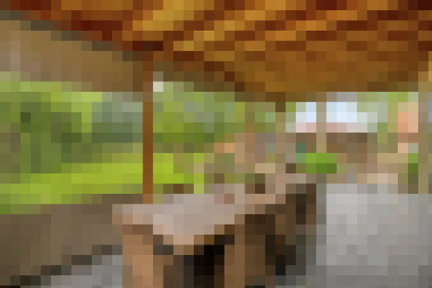 Voort 34 Reusel thumbnail 5