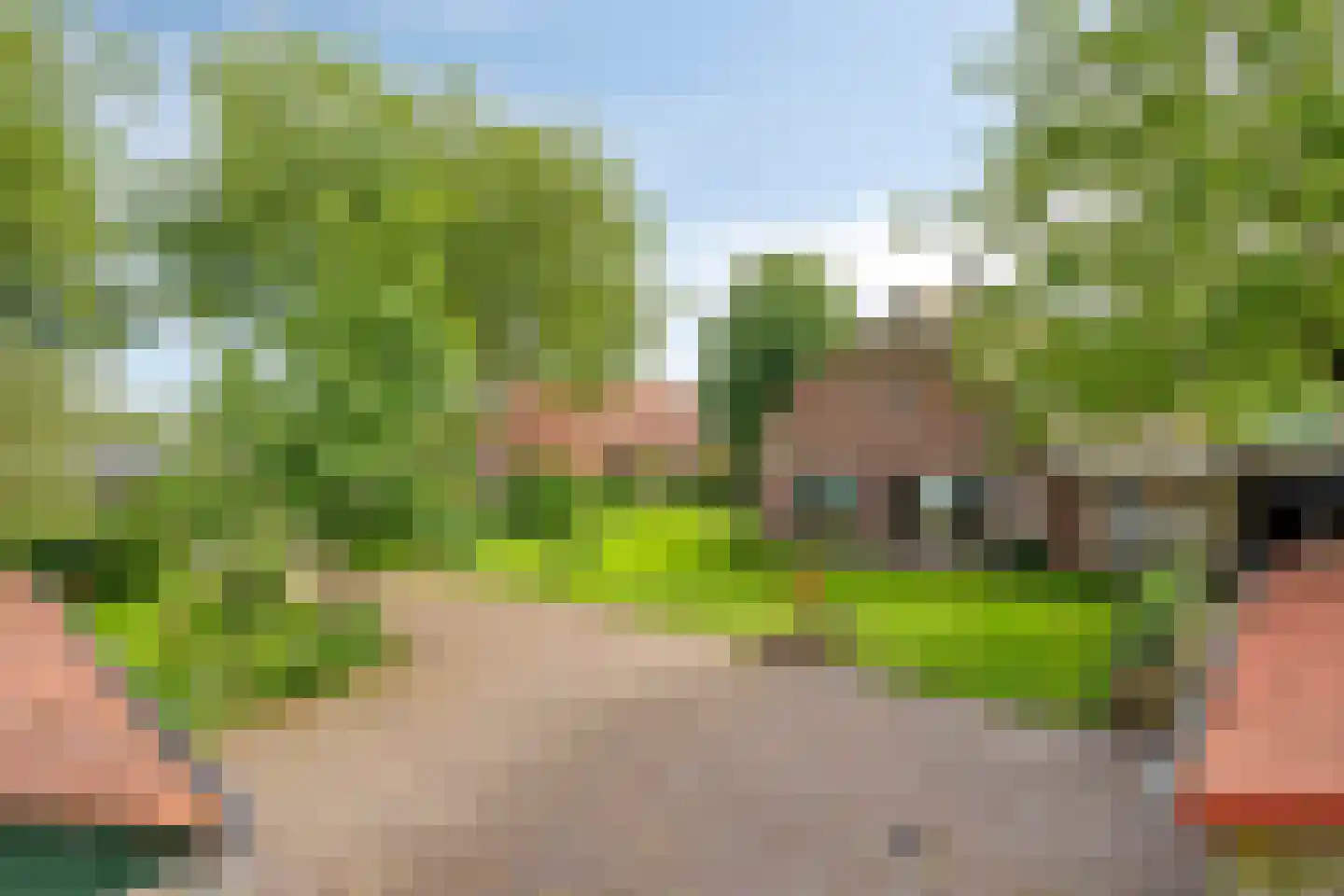 Voort 34 Reusel thumbnail 54