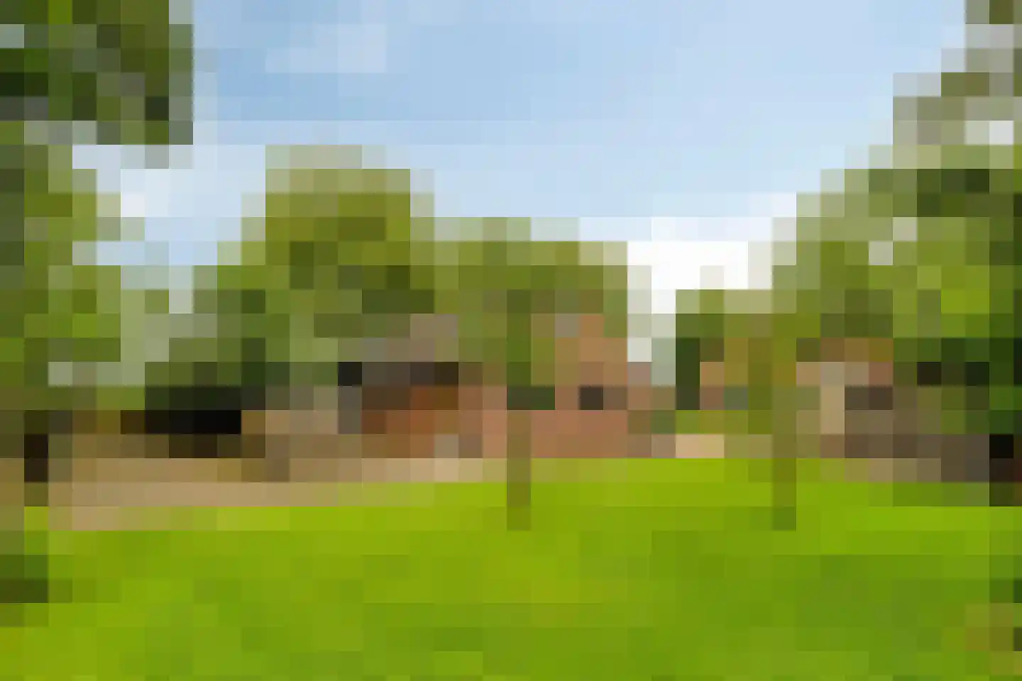 Voort 34 Reusel thumbnail 55