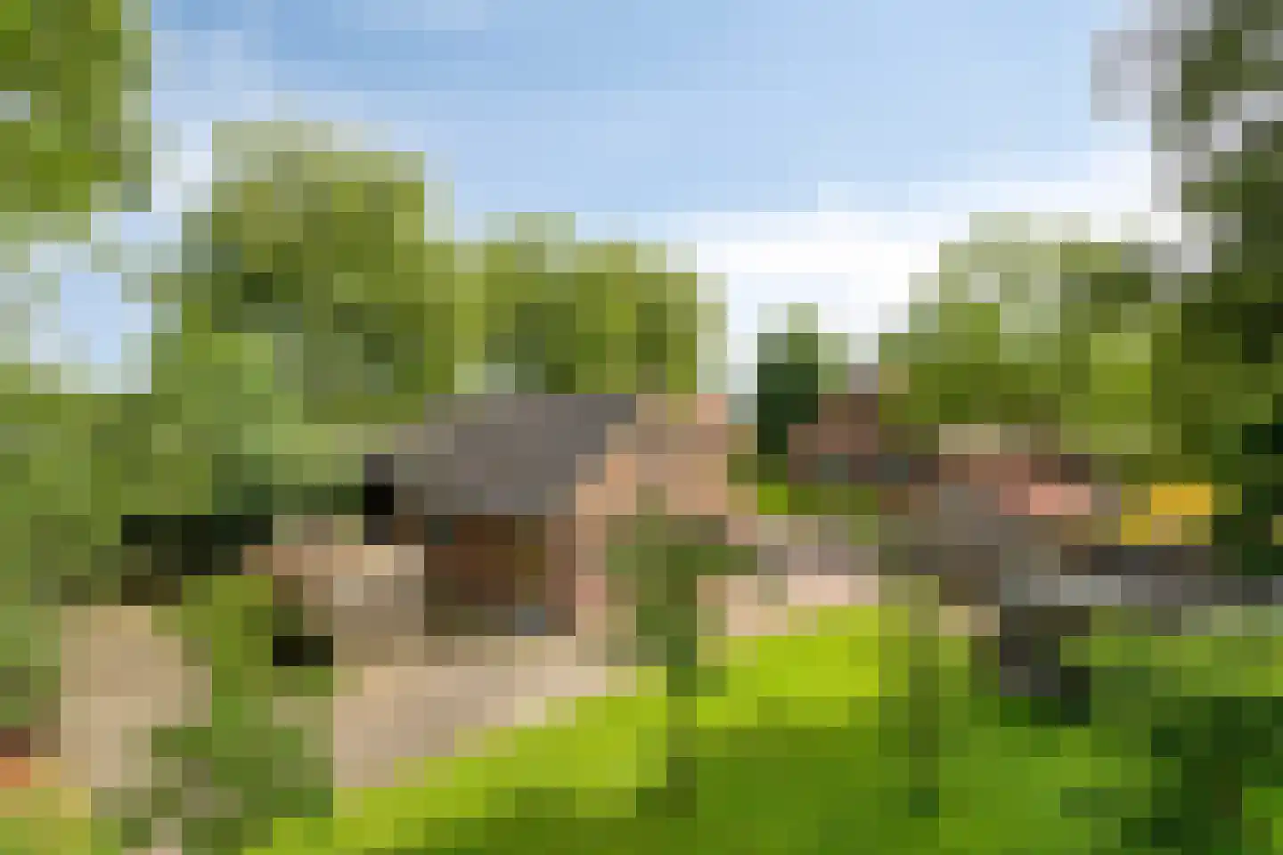 Voort 34 Reusel thumbnail 56