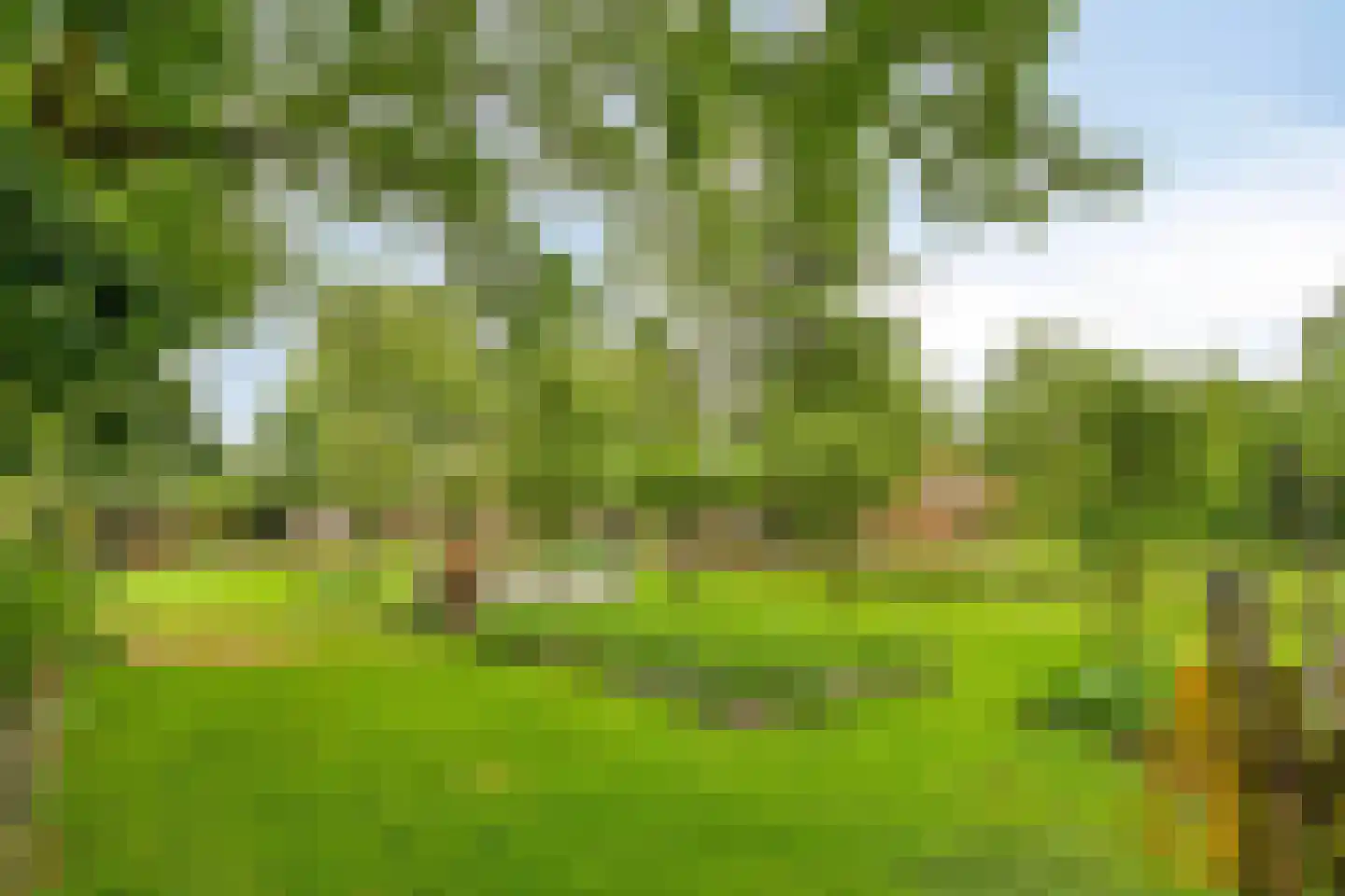Voort 34 Reusel thumbnail 57