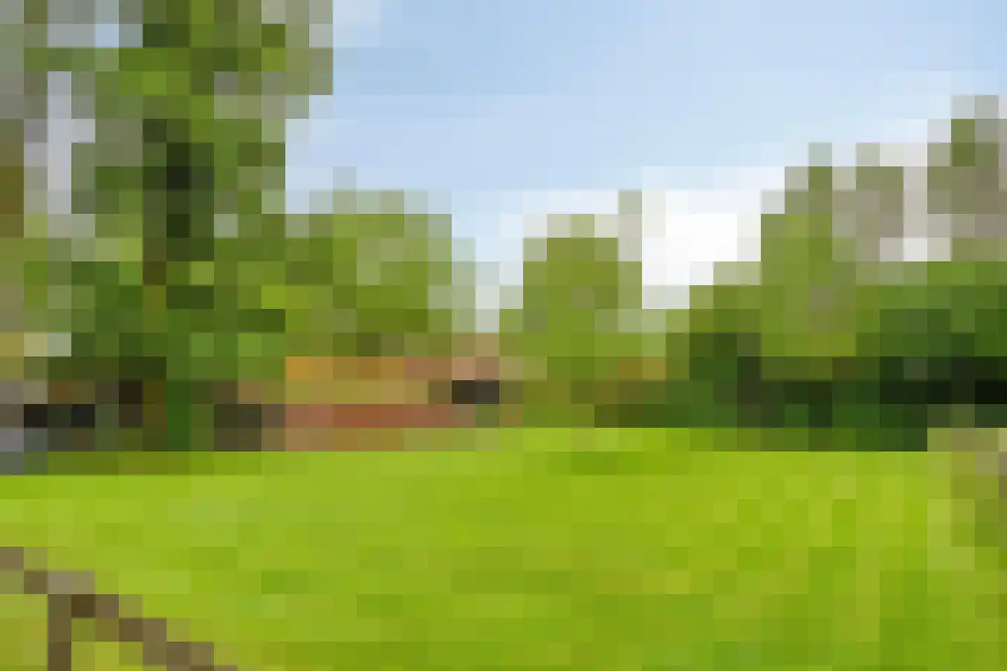 Voort 34 Reusel thumbnail 58
