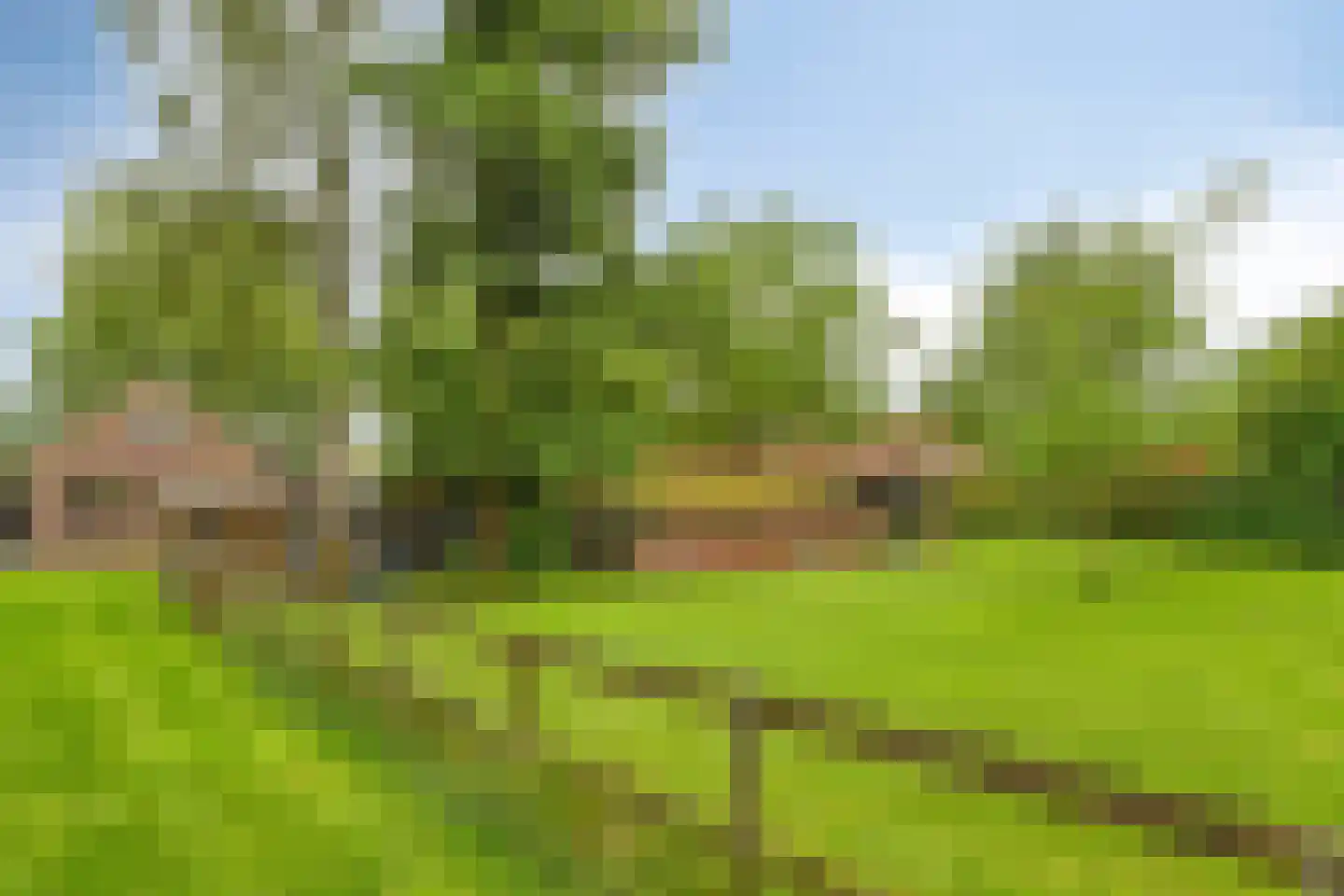 Voort 34 Reusel thumbnail 59