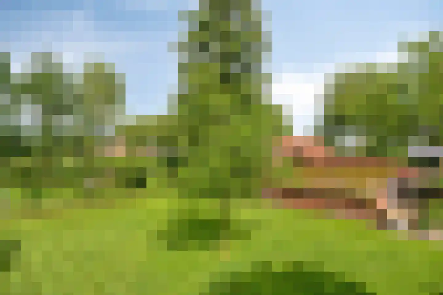 Voort 34 Reusel thumbnail 60