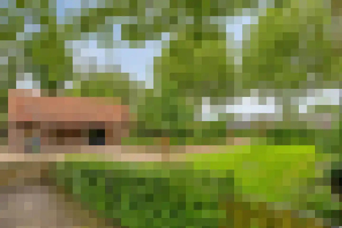 Voort 34 Reusel thumbnail 61