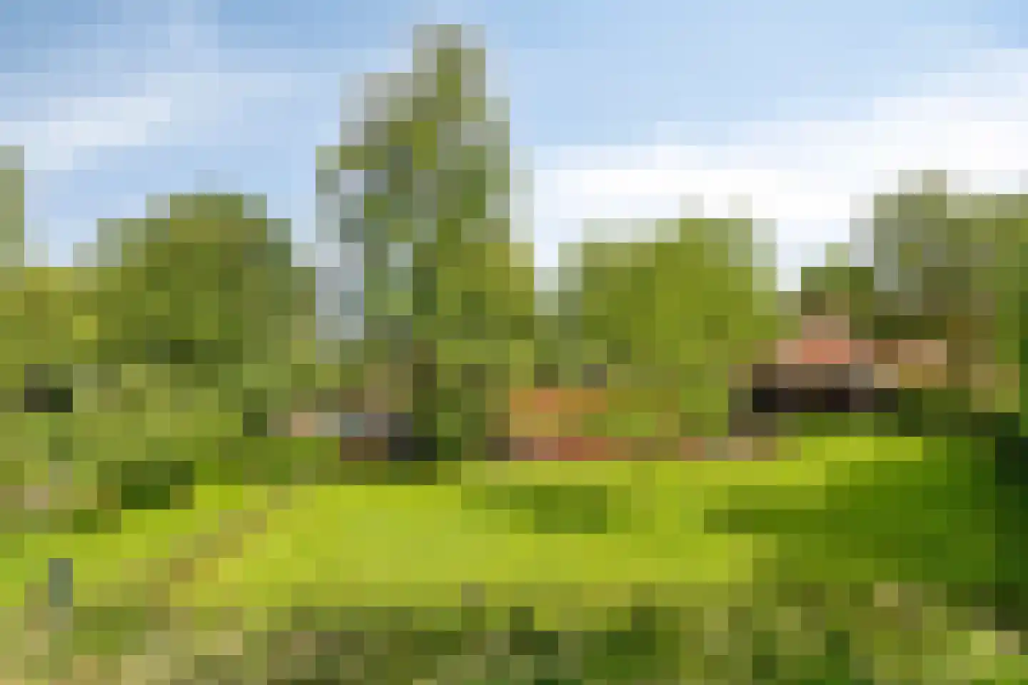 Voort 34 Reusel thumbnail 62