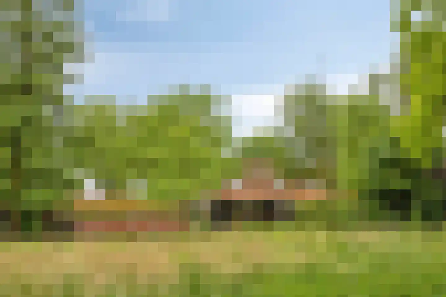 Voort 34 Reusel thumbnail 63