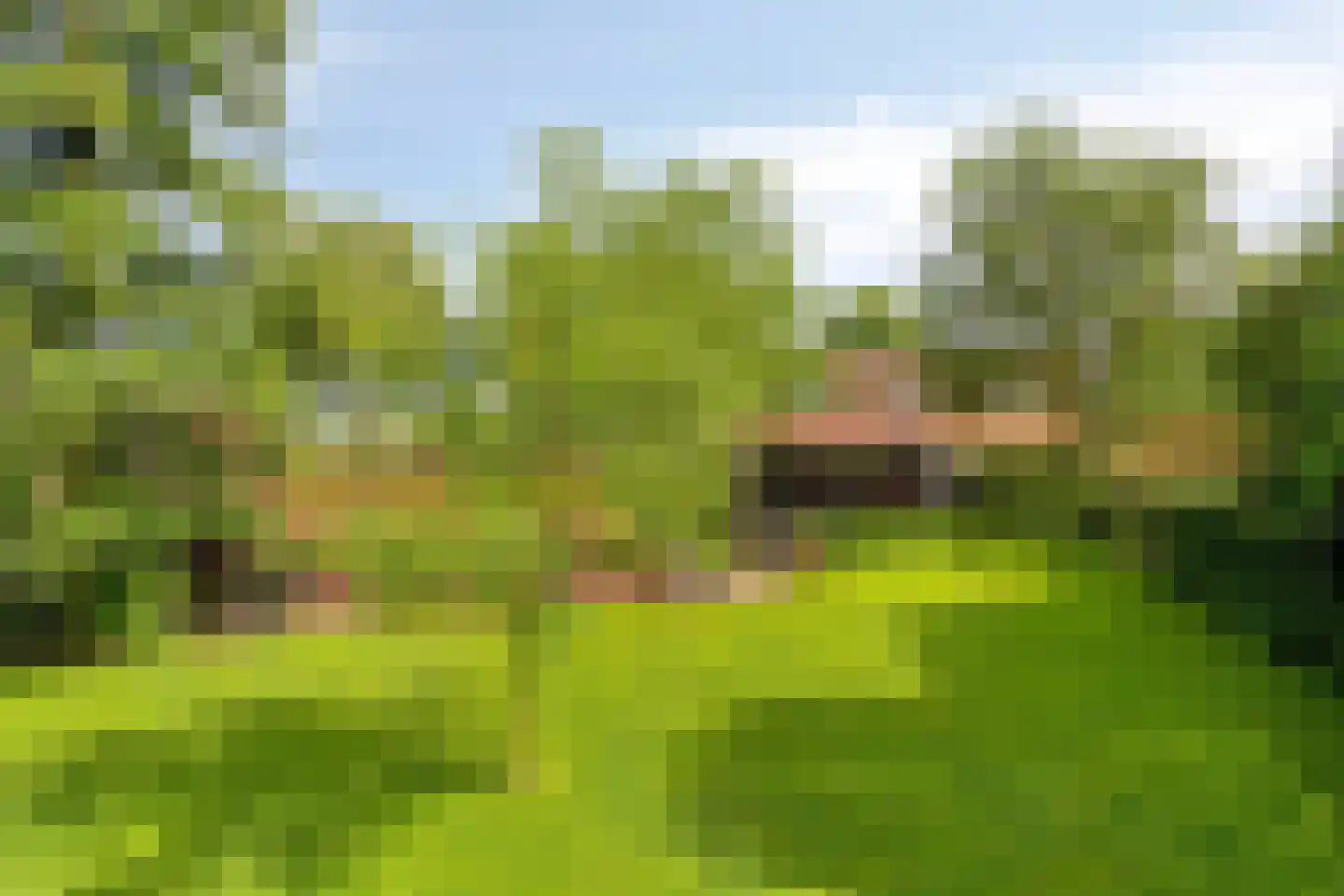Voort 34 Reusel thumbnail 64