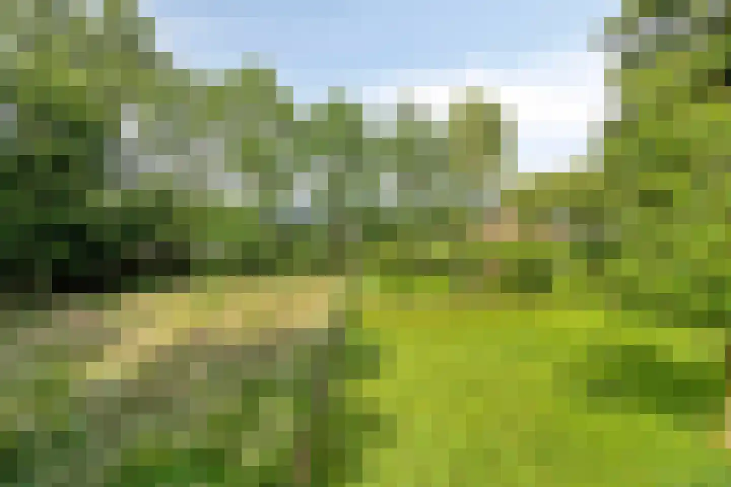 Voort 34 Reusel thumbnail 65