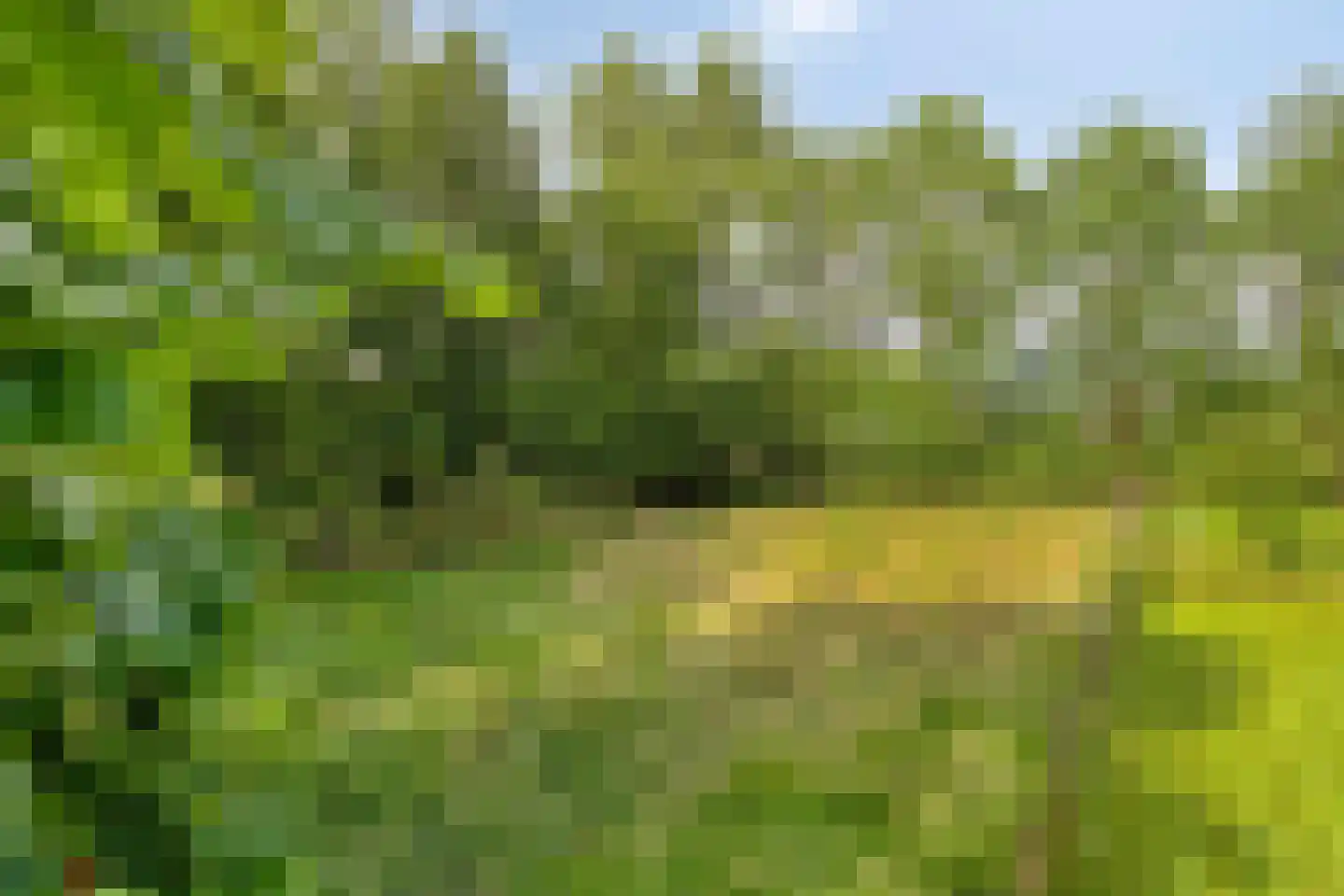 Voort 34 Reusel thumbnail 68