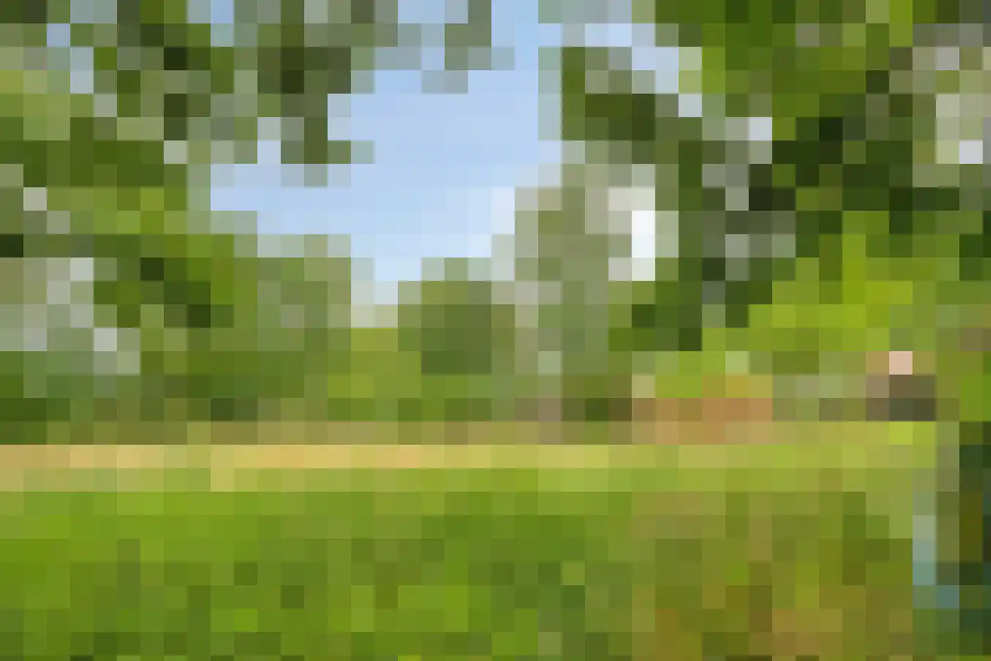 Voort 34 Reusel thumbnail 71