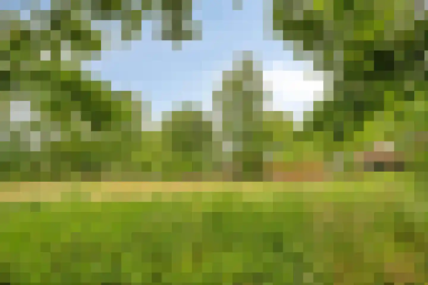 Voort 34 Reusel thumbnail 72