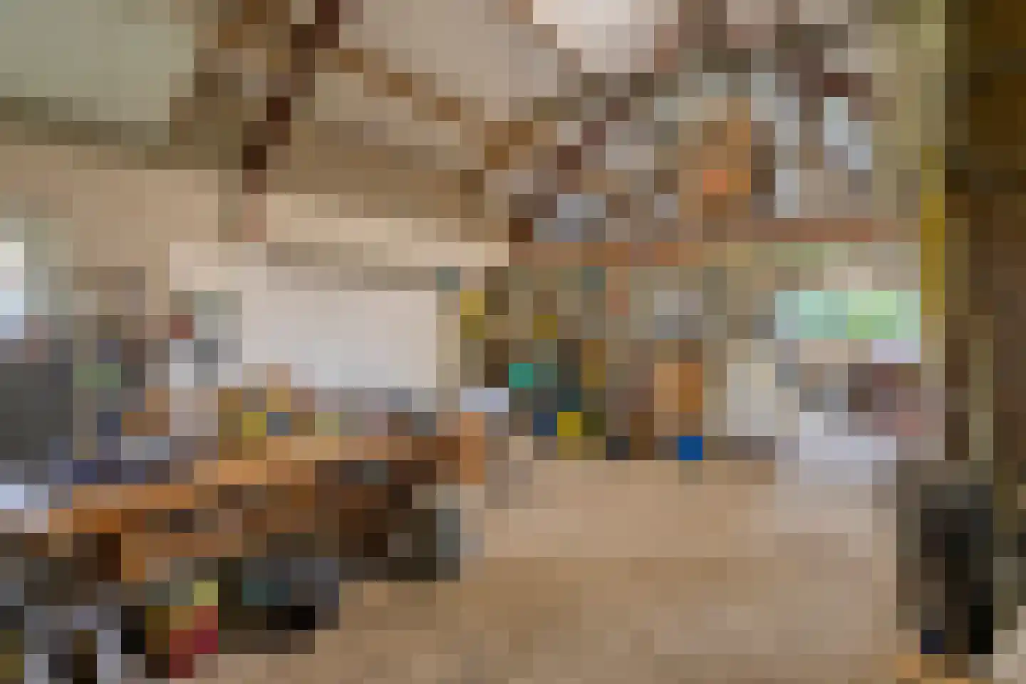 Voort 34 Reusel thumbnail 73