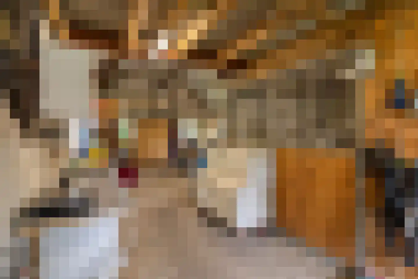 Voort 34 Reusel thumbnail 74