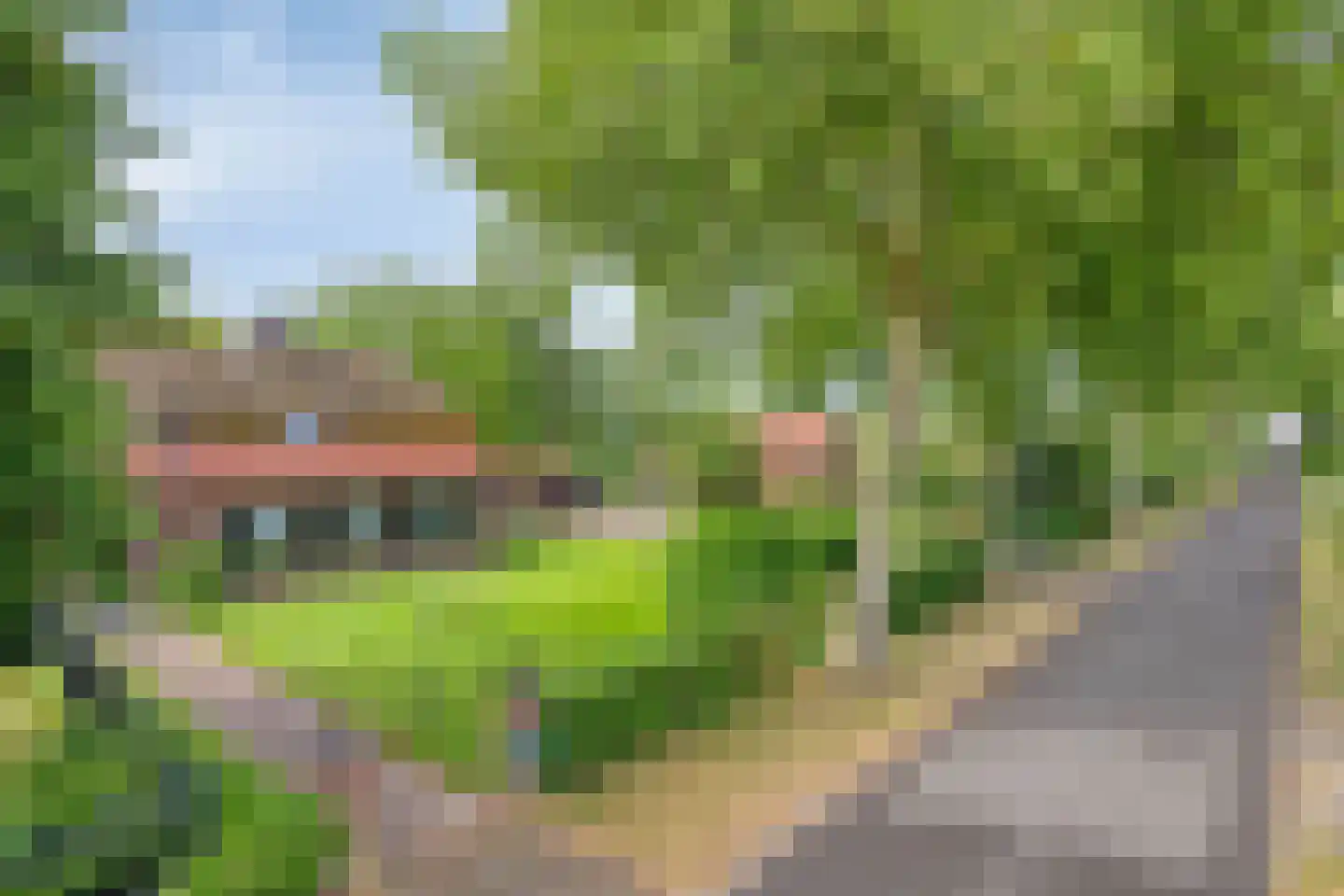 Voort 34 Reusel thumbnail 75