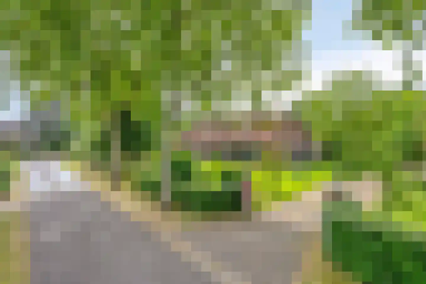 Voort 34 Reusel thumbnail 76