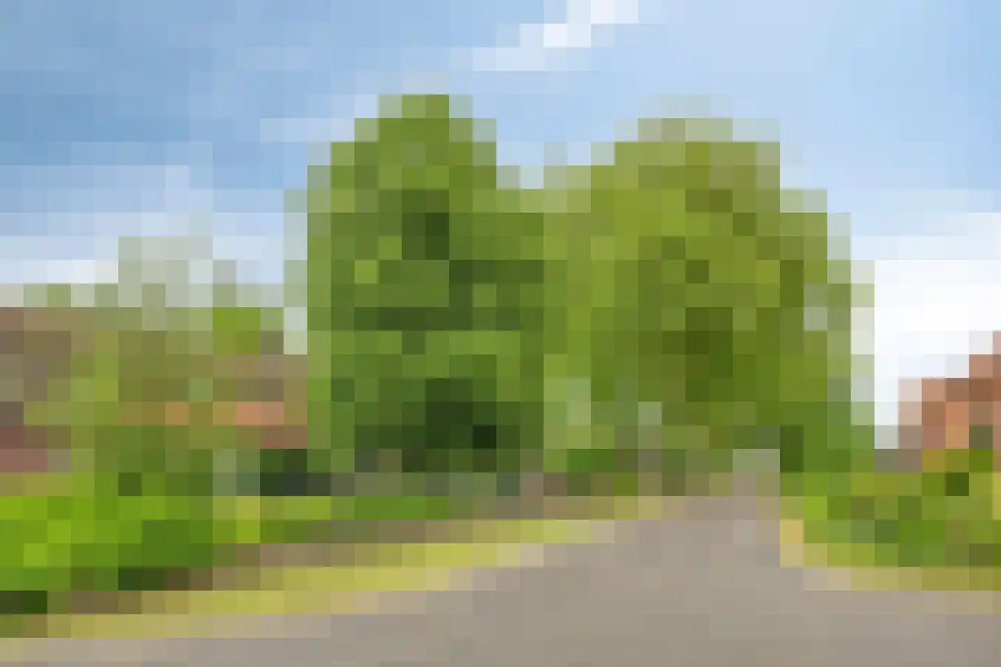 Voort 34 Reusel thumbnail 77