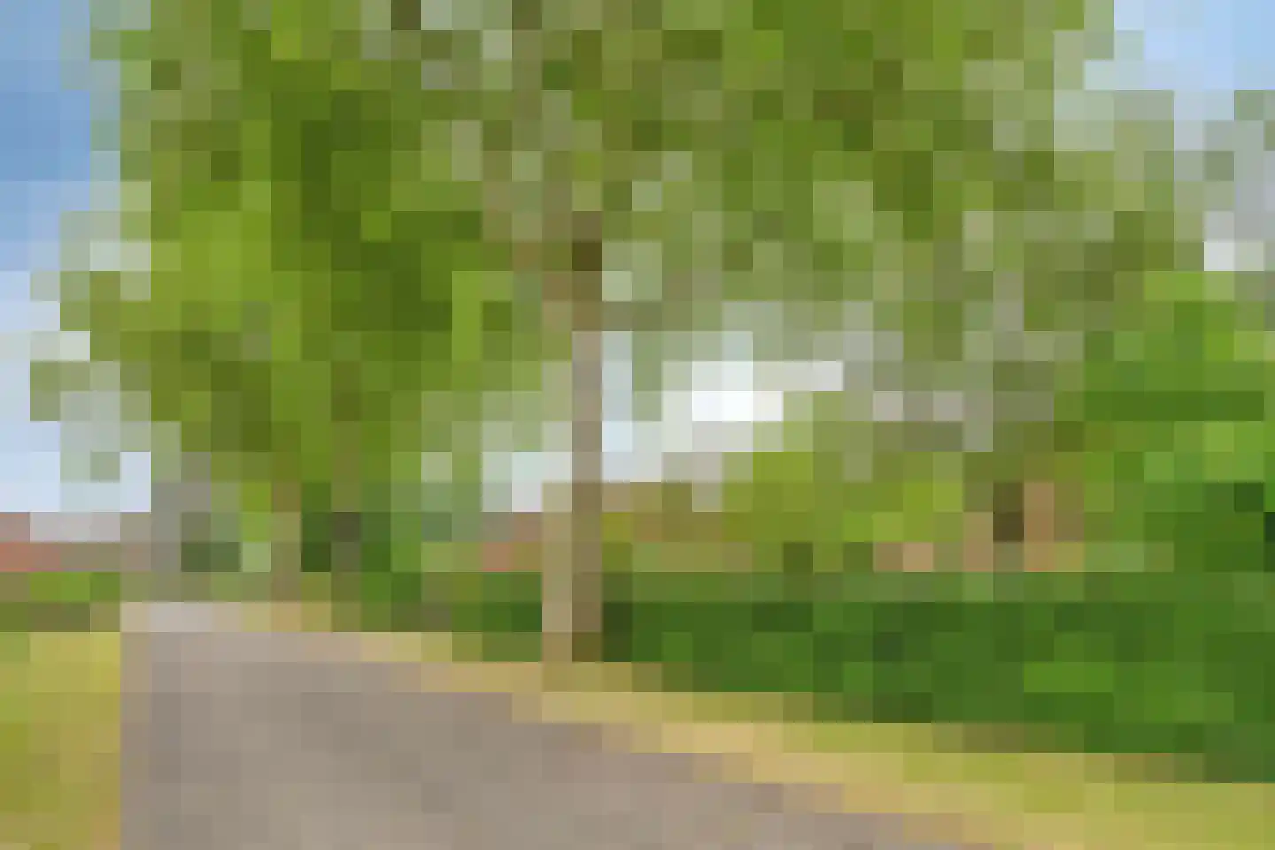 Voort 34 Reusel thumbnail 78