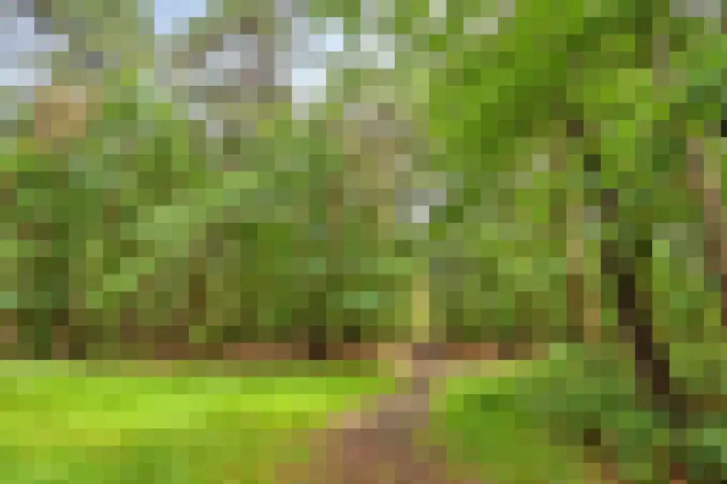 Voort 34 Reusel thumbnail 79