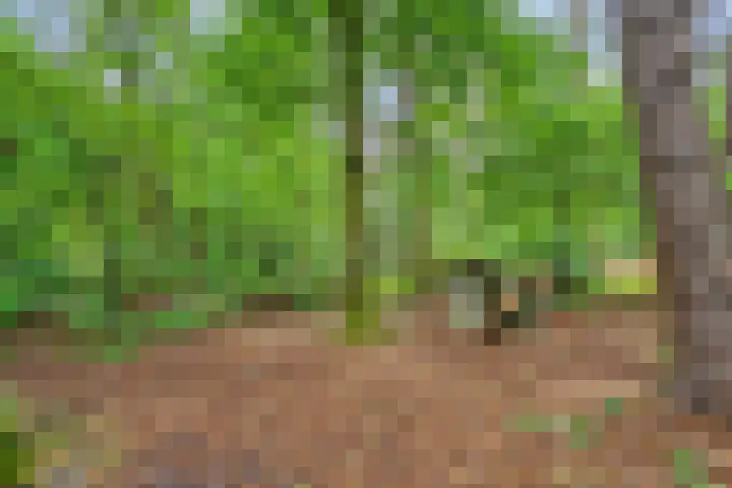Voort 34 Reusel thumbnail 81
